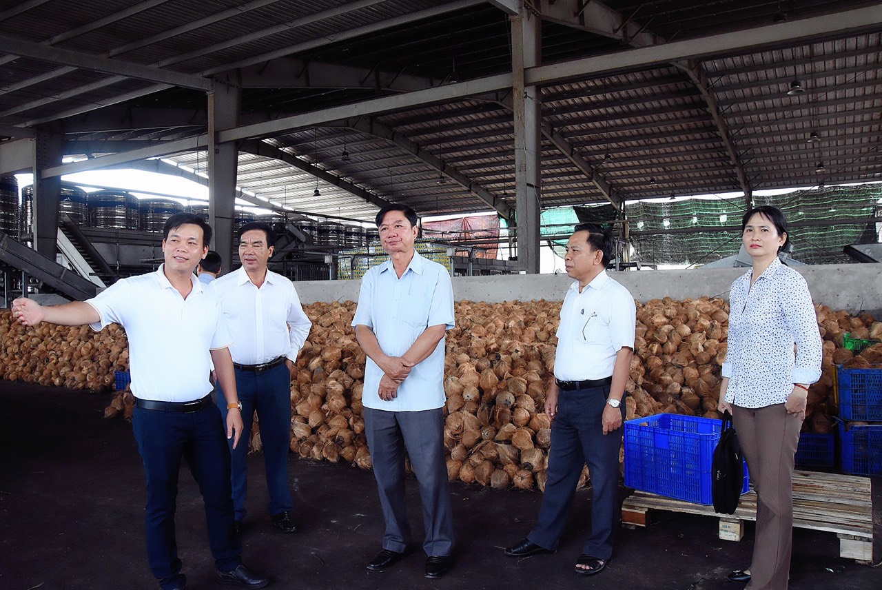 Đồng hành, hỗ trợ doanh nghiệp ngành dừa trong tiêu thụ, sản xuất, kinh doanh